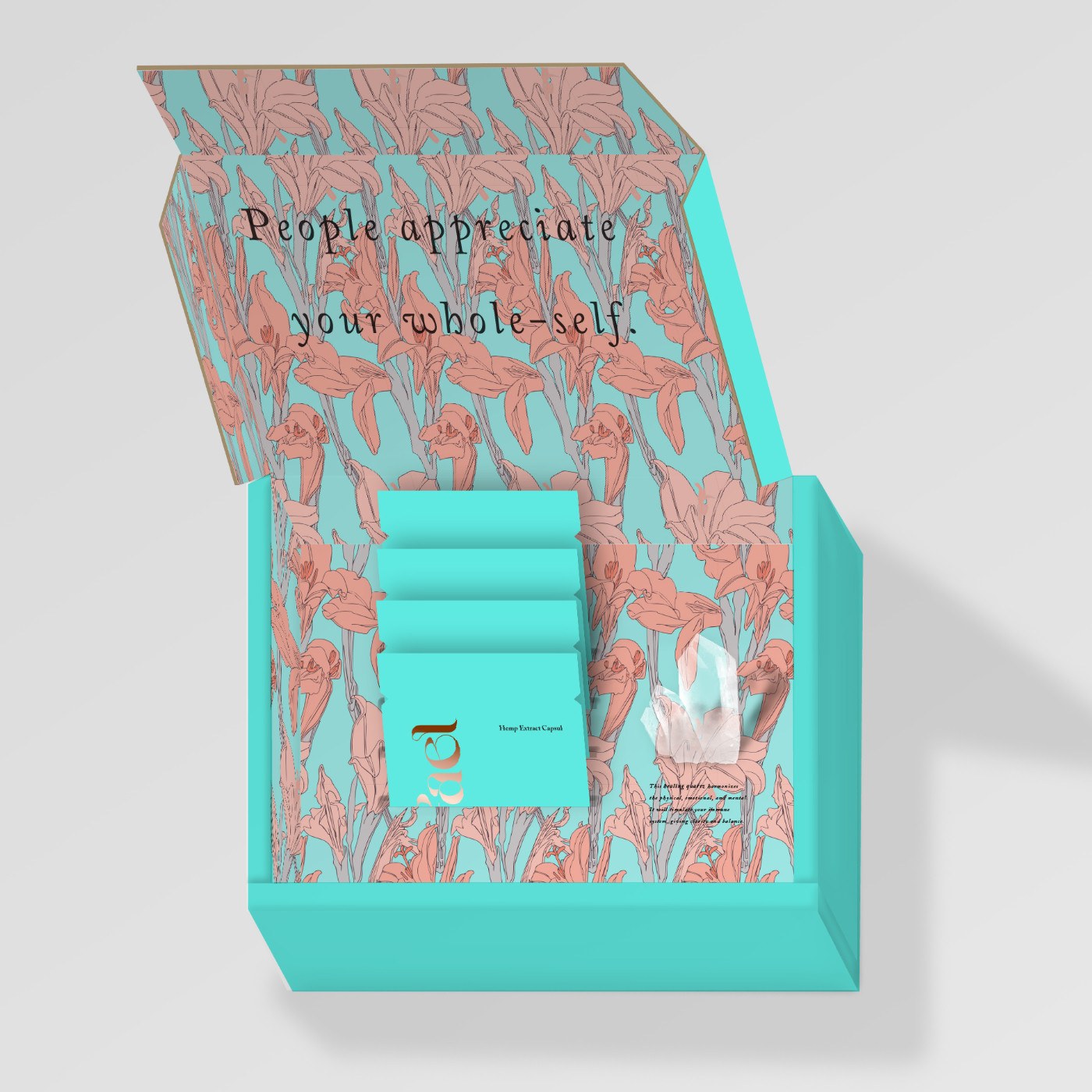 The Rafael Box